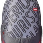 American Tourister Popin 31 Ltrs Grey Casual Casual School and College Backpack for Men and Women